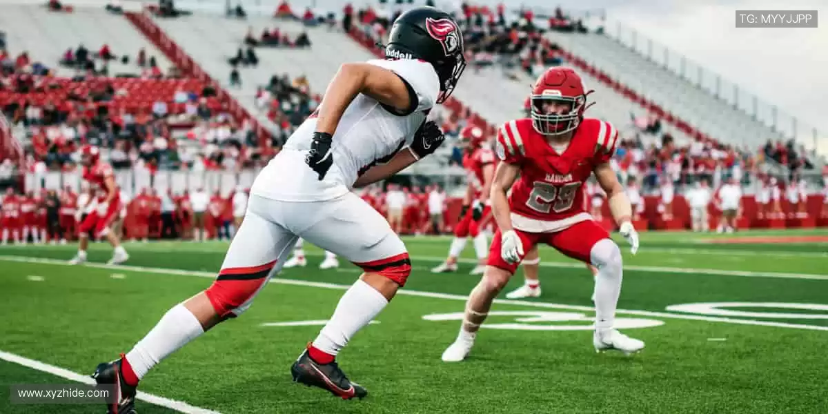 球迷专属，把热爱穿在身上！👕💪